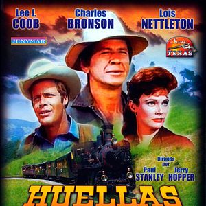 Foto El toro del oeste