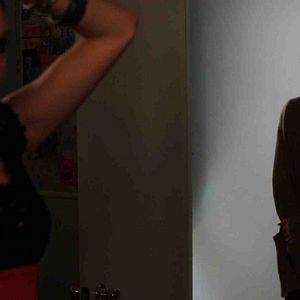 Foto White Bird in a Blizzard