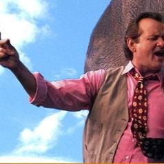 Foto Un elefante llamado Vera