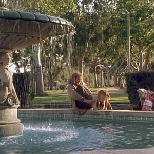 Foto Un loco suelto en Hollywood