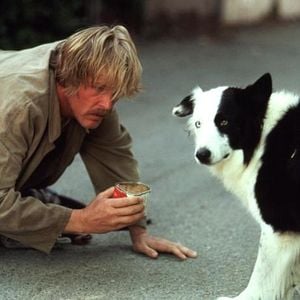 Foto Un loco suelto en Hollywood