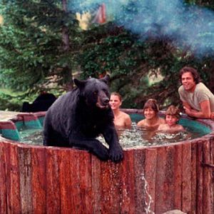 Foto La montaña de la familia Robinson