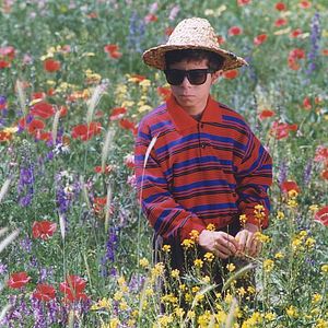 Foto El color del paraíso