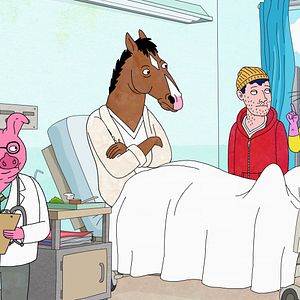 Foto BoJack Horseman