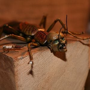 Foto Aventuras en el desván