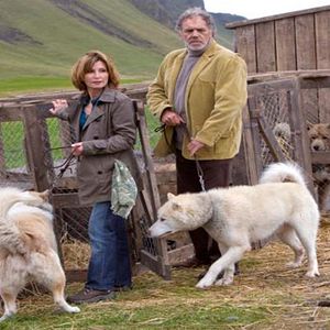 Foto Corazones de hielo