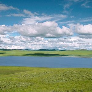 Foto El último lobo (Wolf Totem)