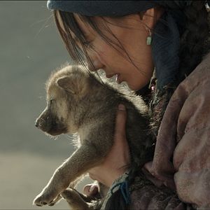 Foto El último lobo (Wolf Totem)
