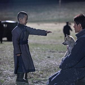 Foto El último lobo (Wolf Totem)