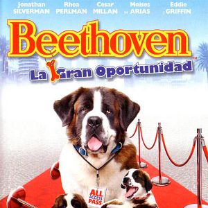 Foto Beethoven: La gran oportunidad