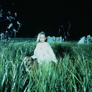 Foto Los pájaros 2 (TV)