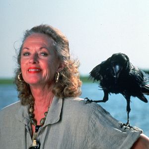 Foto Los pájaros 2 (TV)