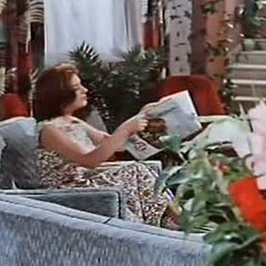 Foto Festival en Benidorm