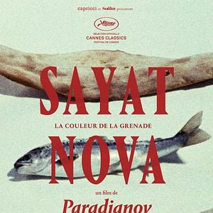 Foto Sayat Nova (El color de la granada)