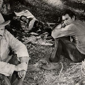 Foto El retorno del forajido