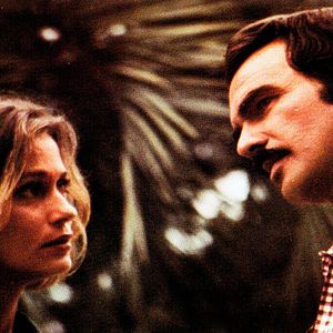 Foto Gator el confidente