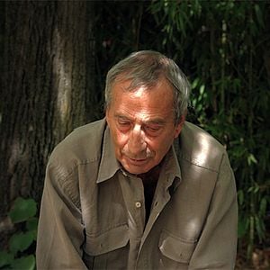 Foto Dario Marconcini