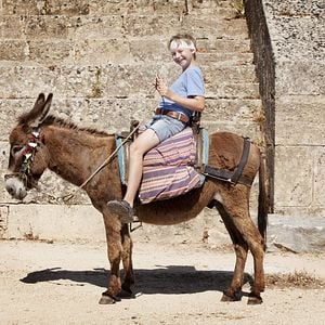 Los Andersson en Grecia - Película 2012