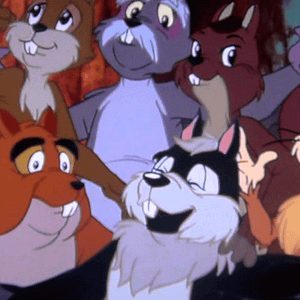 Foto El cisne mudito