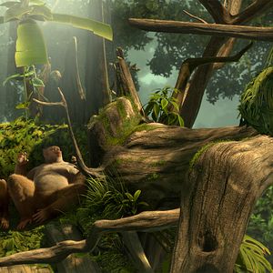 Foto El reino de los monos