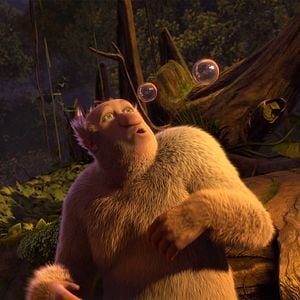 Foto El reino de los monos