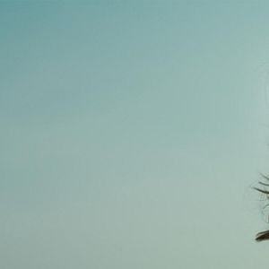 Foto Zazy, sexy y sórdida