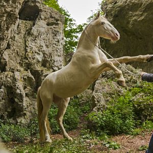 Foto Jannis Niewöhner