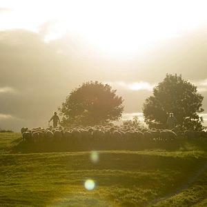 Foto Lejos del mundanal ruido