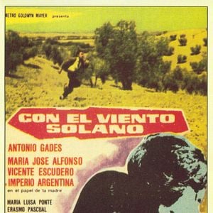 Foto Con el viento solano