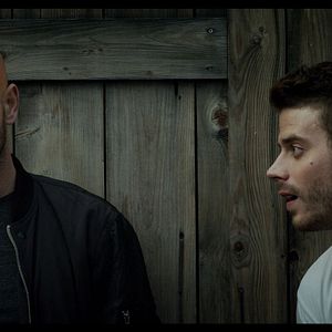 Foto Perros rabiosos