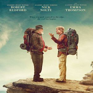 Foto Un paseo por el bosque