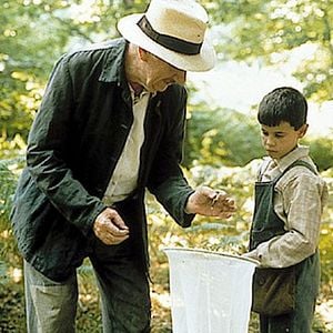 Foto La lengua de las mariposas