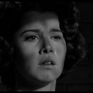 Foto Allo brigade speciale