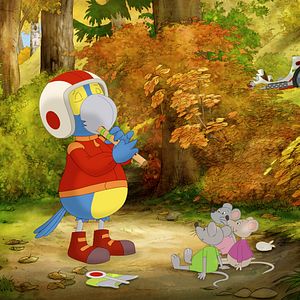 Foto Cuervito Calcetín: La gran carrera