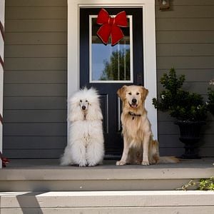 Foto A Christmas Wedding Tail