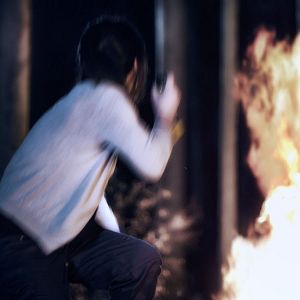 Foto Lemon Tree Passage