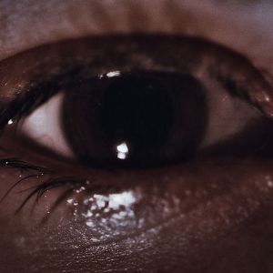 Foto Lemon Tree Passage