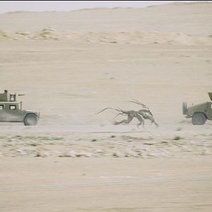 Foto Monsters: Dark Continent