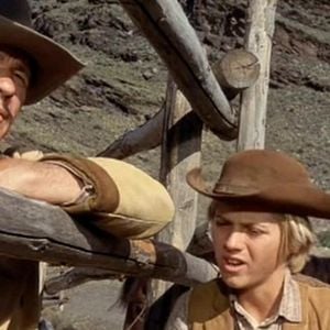 Foto Caballos salvajes