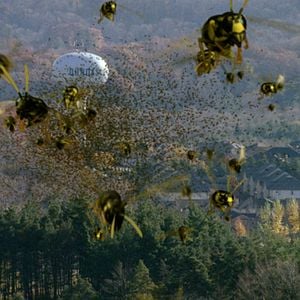 Foto Atrapados en el enjambre