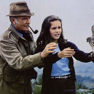 Salvaje y libre - Película 1969