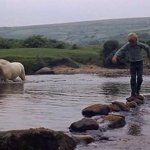 Foto Salvaje y libre