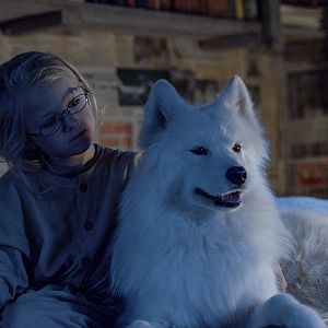 Foto Operación Ártico