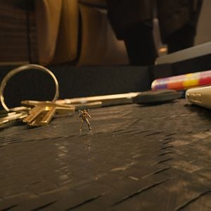 Foto Ant-Man