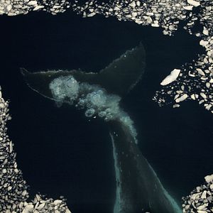 Foto La Glace et le Ciel