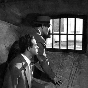 Foto Los ladrones somos gente honrada