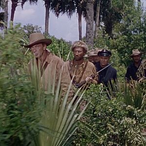 Foto Tambores lejanos