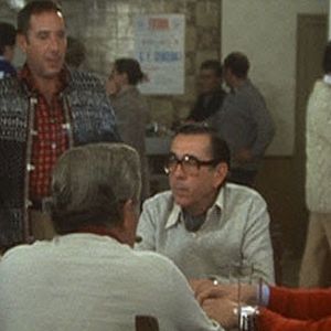 Foto Las verdes praderas