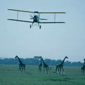 Foto Memorias de África