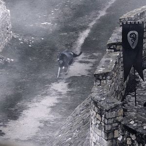 Foto La espada de la venganza